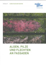 Infoblatt: Algen, Pilze und Flechten